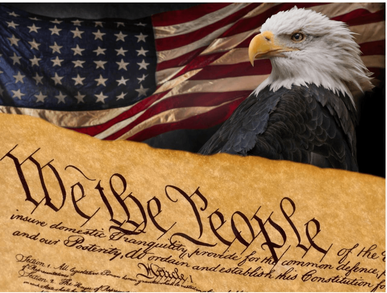 American flag, bald eagle, and Constitution imagery